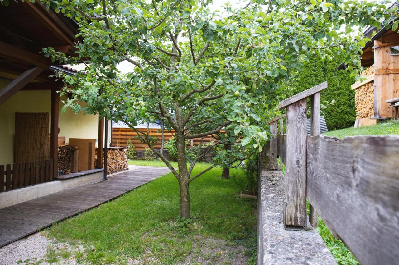 Ferienhaus Schiestl Wiesing Exteriér fotografie